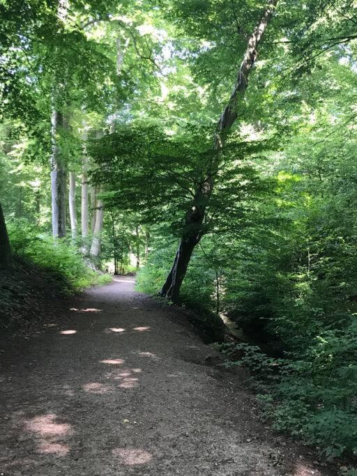 Sfeervol Chalet In Drenthe Bij Het Dwingelderveld Villa Spier Bagian luar foto