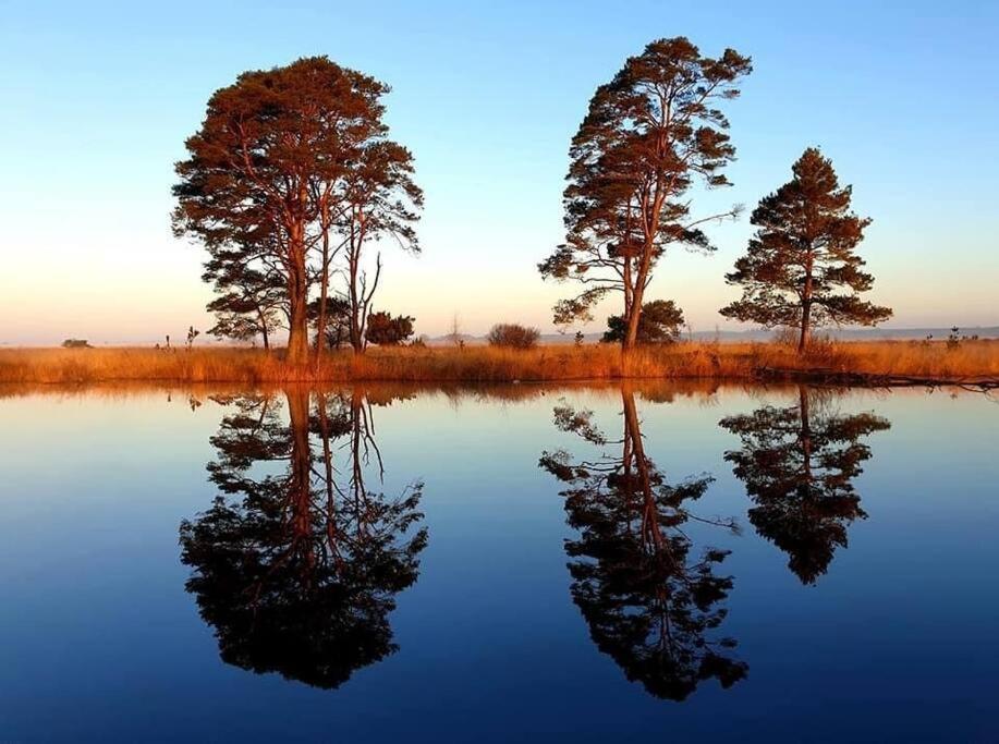 Sfeervol Chalet In Drenthe Bij Het Dwingelderveld Villa Spier Bagian luar foto