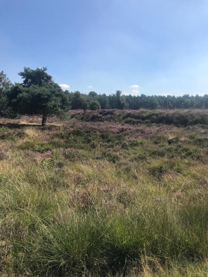 Sfeervol Chalet In Drenthe Bij Het Dwingelderveld Villa Spier Bagian luar foto