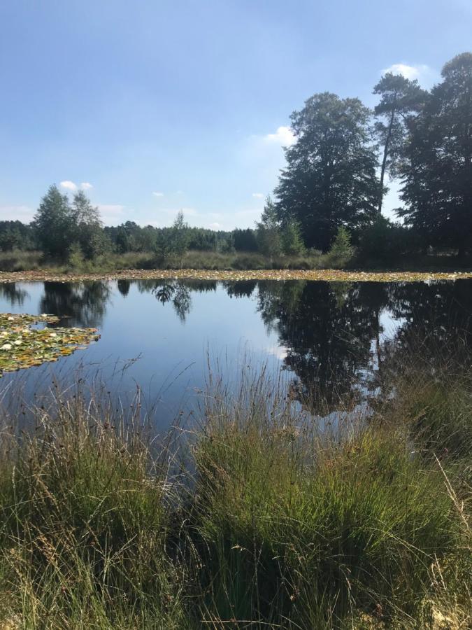 Sfeervol Chalet In Drenthe Bij Het Dwingelderveld Villa Spier Bagian luar foto